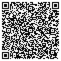 QR code with RVS Co contacts