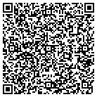QR code with Spring Valley Resort contacts