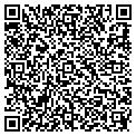 QR code with Nspyre contacts