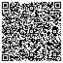 QR code with Progressive Artists contacts