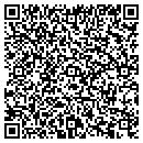 QR code with Public Utilities contacts