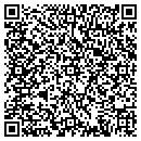 QR code with Pyatt Sawmill contacts