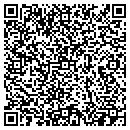 QR code with Pt Distributing contacts