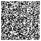 QR code with Chapman Net Systems Inc contacts