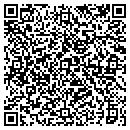 QR code with Pulliam & Son Hauling contacts