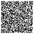 QR code with Bodega contacts