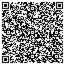 QR code with Carter Custom Painting contacts