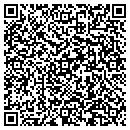 QR code with C-V Glass & Flags contacts