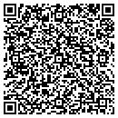 QR code with Precision Detailing contacts