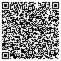 QR code with Safilo contacts