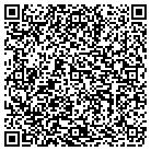 QR code with Playful Productions Inc contacts