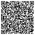 QR code with Bashas' contacts
