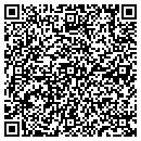 QR code with Precision Delta Corp contacts