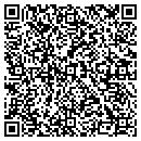 QR code with Carrier South Central contacts