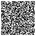 QR code with Signup contacts