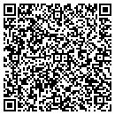QR code with Blue Horse Woodworks contacts
