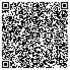 QR code with Blimpie Subs & Salads contacts