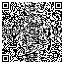 QR code with Pyroil Plant contacts