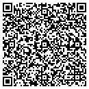 QR code with Pulpwood Quinn contacts