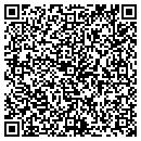 QR code with Carpet Solutions contacts