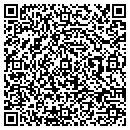 QR code with Promise Farm contacts