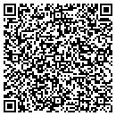 QR code with Cubicon Corporation contacts