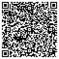 QR code with Indys contacts