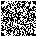 QR code with Boral Bricks Studio contacts
