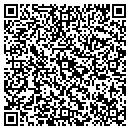 QR code with Precision Armature contacts