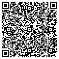 QR code with New You contacts