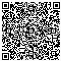 QR code with B-Line contacts