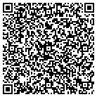 QR code with Professional Auto Sales contacts
