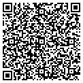 QR code with H Gore contacts
