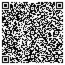 QR code with Pyramid Janitorial Inc contacts