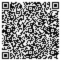 QR code with Hogness contacts