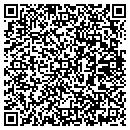 QR code with Copiah Pool Service contacts