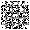 QR code with Cyclone Trucking Inc contacts