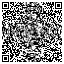 QR code with Precious Tots contacts