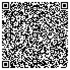QR code with Professional PC Solutions contacts