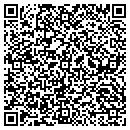 QR code with Collins Construction contacts