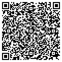 QR code with Avm Inc contacts