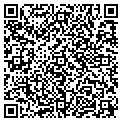 QR code with Fringe contacts