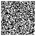 QR code with Todds contacts