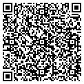 QR code with Magc contacts