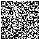 QR code with Precision V Twins Inc contacts