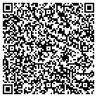 QR code with City Tire & Service LLC contacts