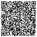 QR code with L G's contacts