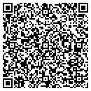 QR code with Precision Auto Sales contacts