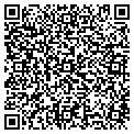 QR code with IBEW contacts