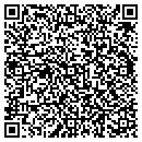 QR code with Boral Bricks Studio contacts